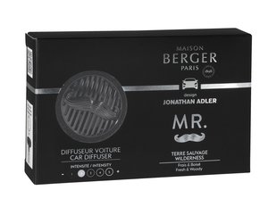 Maison Berger Paris Auto Diffuser Mr. Gun metal Terre Sauvage