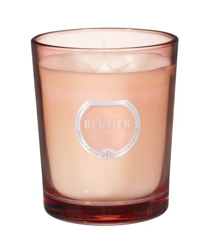 Maison Berger Paris Geurkaars Riviera 180g / Zestes Toniques - afbeelding 2