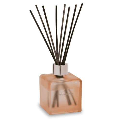 Maison Berger Paris Parfumverspreider Anti-Odeur Animaux N2