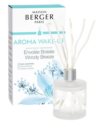 Maison Berger Paris Parfumverspreider Aroma Wake-up - Envolée Boisée / Woody Breeze 180ml