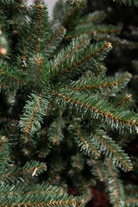 Matterhorn x-mas tree green - h185xd122cm - afbeelding 3