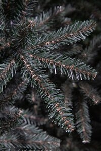 Matterhorn x-mas tree newgrowth blue - h120xd94cm - afbeelding 3