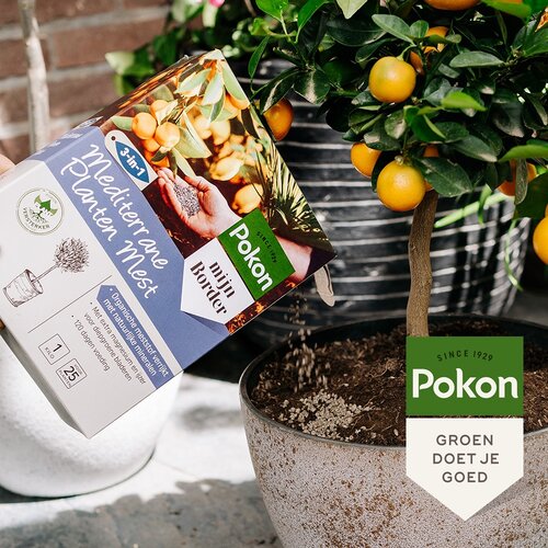 Mediterr. plantenmest 1kg - afbeelding 3