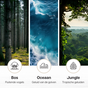 Melodiez Nature Box - Lichthout - afbeelding 4