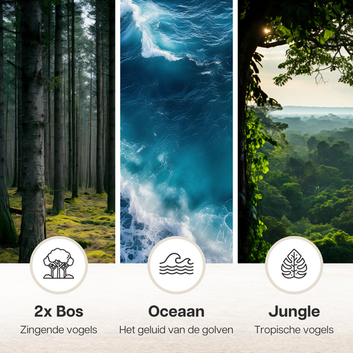 Melodiez Nature Box - Zwart - afbeelding 3