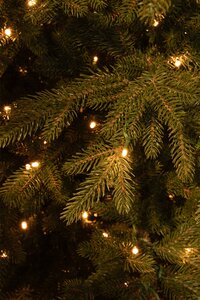 Meran x-mas tree green prelit TIPS 1040 - h155xd102cm 168L timer/dimmer - afbeelding 3