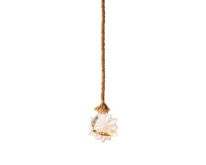 Micro LED Ster Transparant rattan BO Binnen - Ø 19 x H 25 cm - afbeelding 1