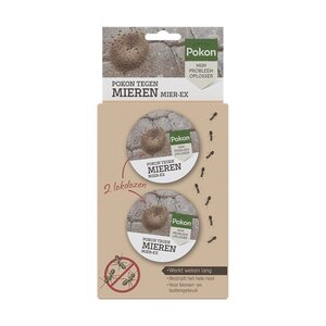 Mieren lokdoos 2st - afbeelding 1