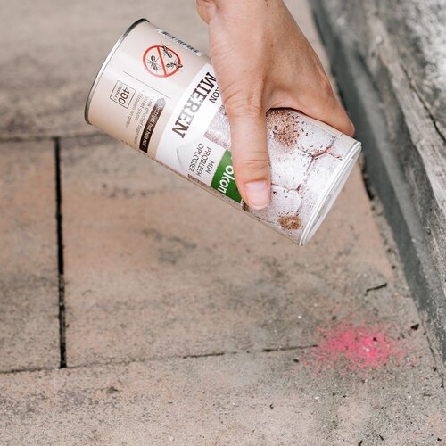 Mierenpoeder 400 gr - afbeelding 3