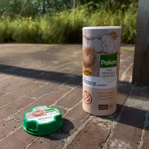 Pokon Mierenpoeder 400 gr - afbeelding 4