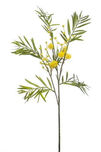 Mimosa spray yellow 70cm