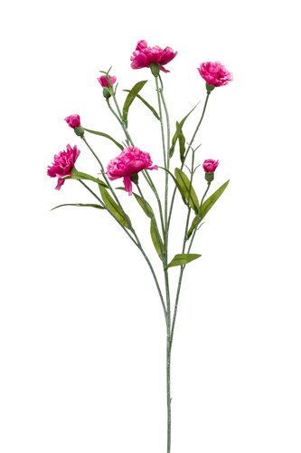 Mini Anjer Tak Zijde - 70cm Beauty