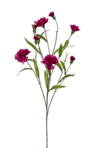Mini Anjer Tak Zijde - 70cm Lila