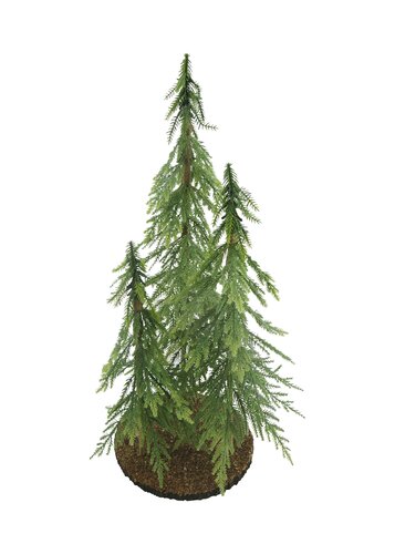 Miniboompjes op ronde voet - D 25 x H 50 cm groen