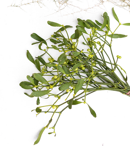 Mistletoe, per bosje
