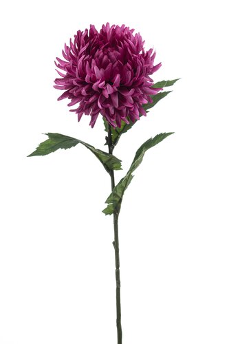 Mum spider spray purple 57cm