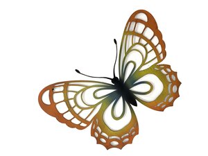 Muurvlinder open 45 x 32 cm multi