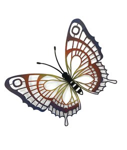 Muurvlinder open 45 x 36 cm multi