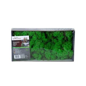 My Village Rendiermos Groen - 500 g - afbeelding 1