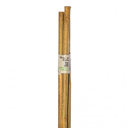 Nature Bamboestokken (3 st.) - H180cm - afbeelding 3