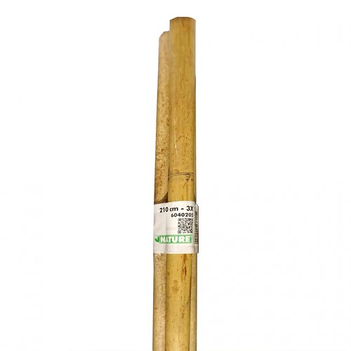 Nature Bamboestokken (3 st.) - H210cm - afbeelding 3