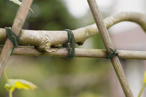 Nature Bindbuis groen Ø3mmx50m - afbeelding 2