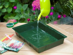 Nature kweekbak met groeimedium 35x23,5cm - afbeelding 5