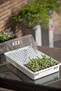 Nature kweekbakset pro 55x31cm - afbeelding 4