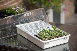 Nature kweekbakset pro 55x31cm - afbeelding 5