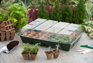 Nature kweekkas met turfpotplaat 43x32,5cm - afbeelding 3