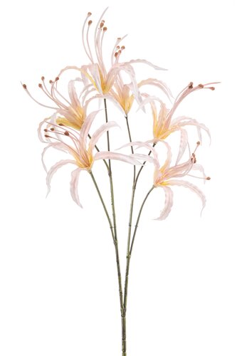 Nerine Tak Zijde - 55cm Perzik
