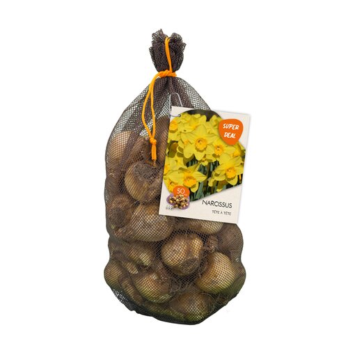 Netlon - Narcis Tête à Tête per 50