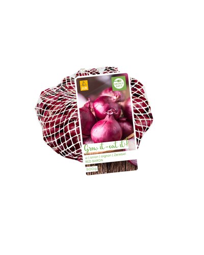 NETLON PLANTUIEN / ONION RED BARON 500 GRAM