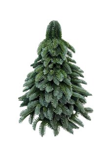 Kunstkerstboom nobilis deluxe groen - D 50 x H 50 cm