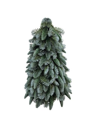 Nobilis tree - H 50 x D 50 cm