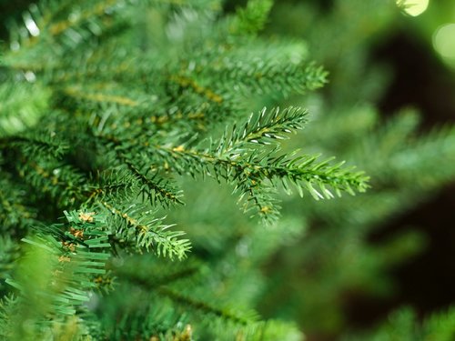 Everlands Norway spruce PS kunstkerstboom groen - H 180 x D 127 cm - afbeelding 2