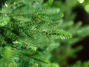 Everlands Norway spruce PS kunstkerstboom groen - H 180 x D 127 cm - afbeelding 2