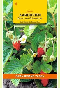 OBZ Aardbeien Baron von Solemacher - afbeelding 1