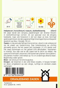 OBZ Acroclinium, Zonnestrobloem dubbelbloemig gemengd - afbeelding 2