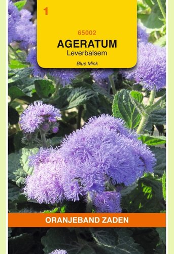 OBZ Ageratum, Leverbalsem Blue Mink - afbeelding 1