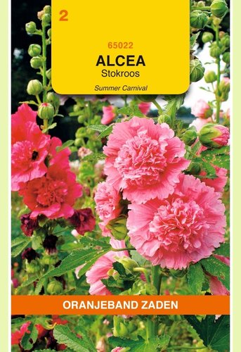 OBZ Althaea (Alcea), Stokroos Summer Carnaval - afbeelding 1