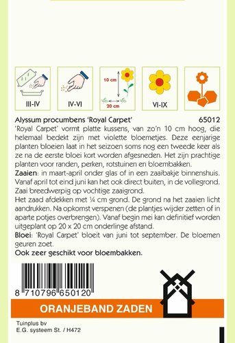 OBZ Alyssum Royal Carpet - afbeelding 2