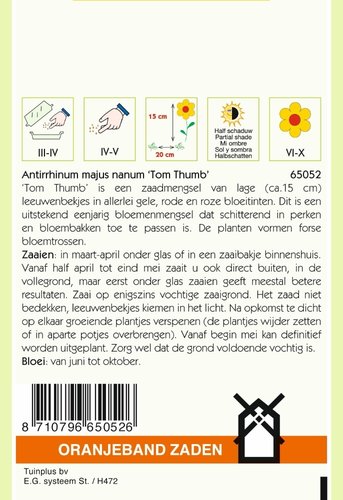 OBZ Antirrhinum, Leeuwenbekje Tom Thumb - afbeelding 2