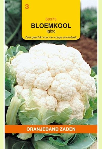 OBZ Bloemkool Igloo - afbeelding 1