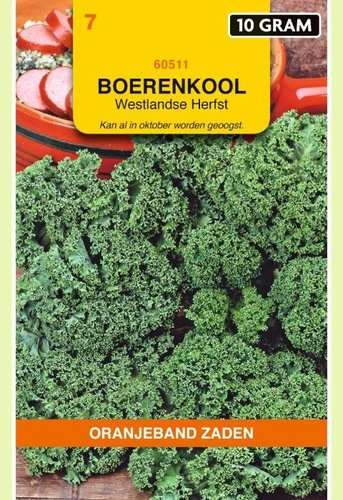 OBZ Boerenkool Westlandse Herfst (laat type), 10g - afbeelding 1