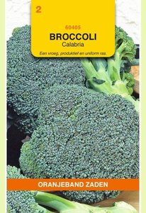 OBZ Broccoli Calabria - afbeelding 1
