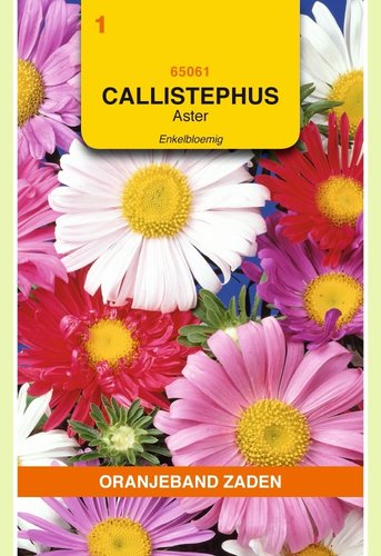 OBZ Callistephus, Aster enkelbloemig gemengd - afbeelding 1