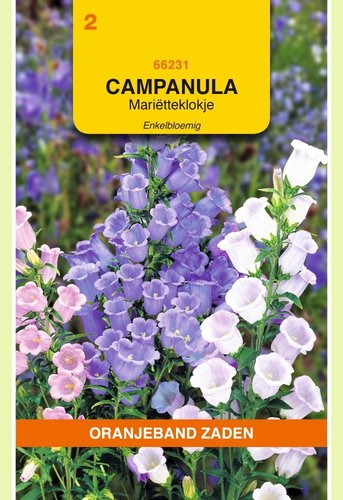 OBZ Campanula, Mariëtteklokje enkelbloemig gemengd - afbeelding 1