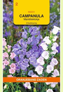 OBZ Campanula, Mariëtteklokje enkelbloemig gemengd - afbeelding 1