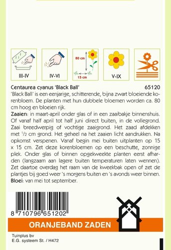 OBZ Centaurea, Korenbloem Black Ball - afbeelding 2